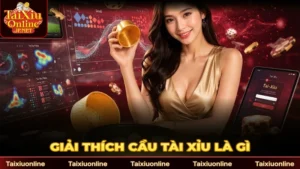 Cầu Tài Xỉu Là Gì? Phân Tích Chuẩn Xác Cho Người Mới