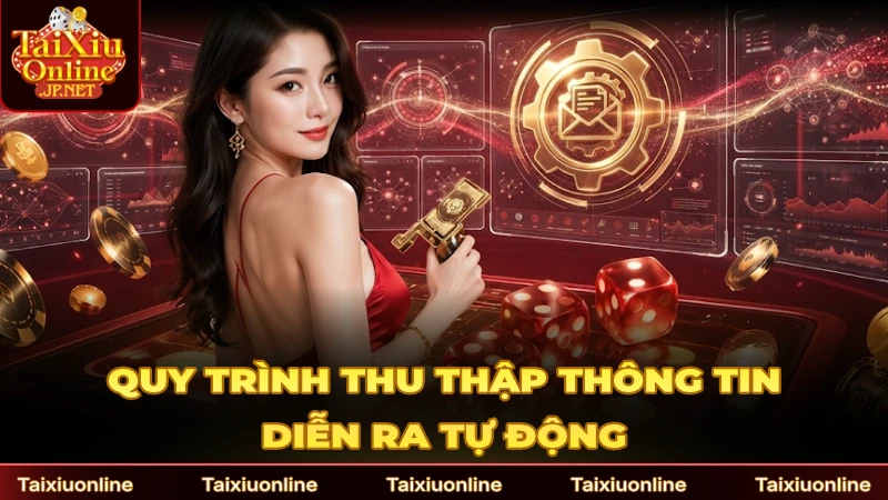 Quy trình thu thập thông tin diễn ra tự động hoàn toàn